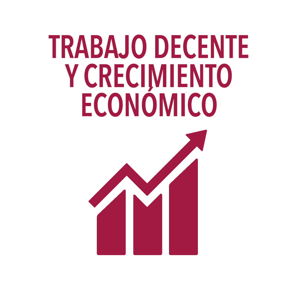 ODS 8 Trabajo decente y crecimiento económico